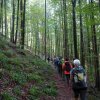 09 b Schluchensteig Etappe 4 - 6
